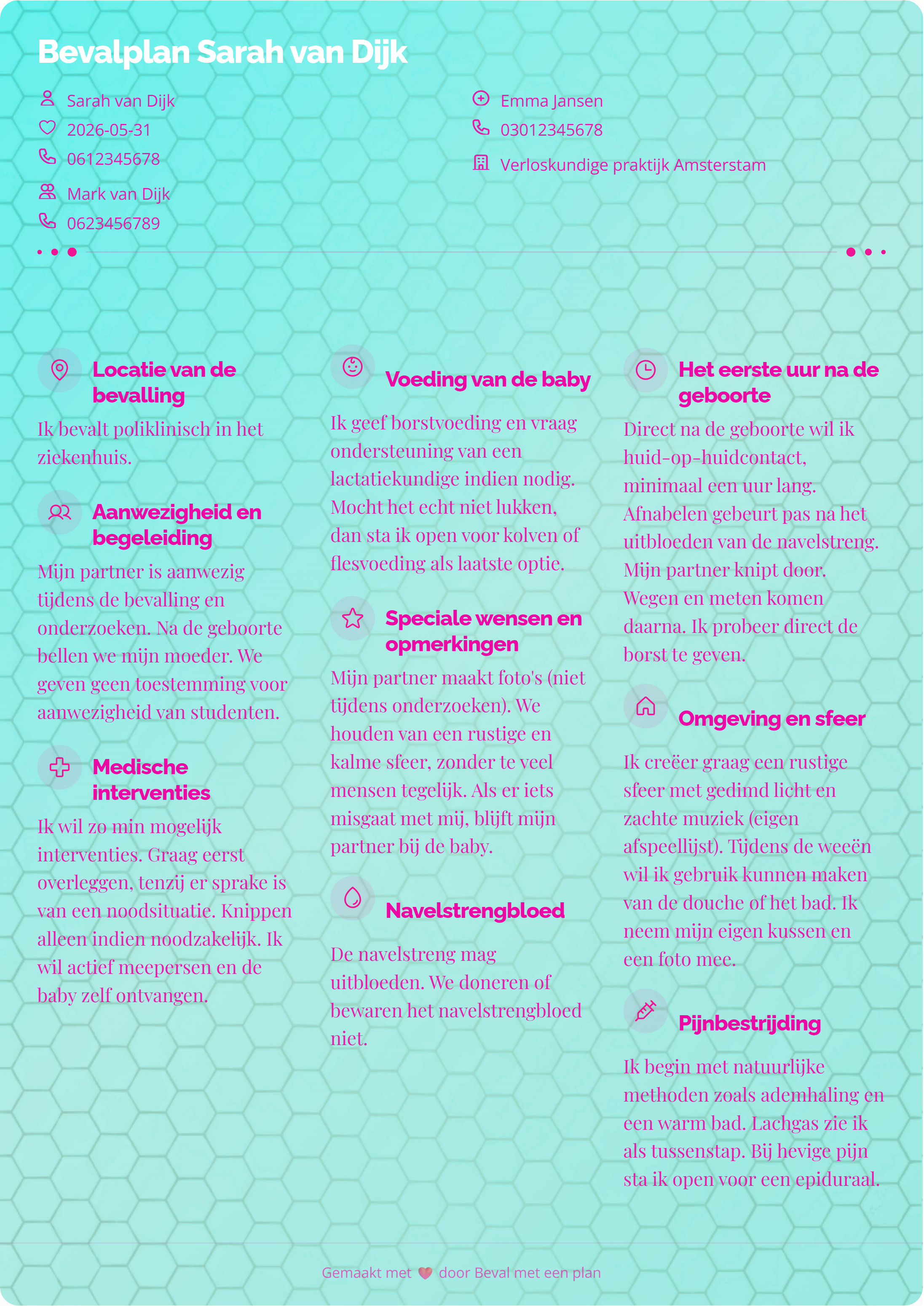 Voorbeeld bevalplan 2 - persoonlijk bevalplan template